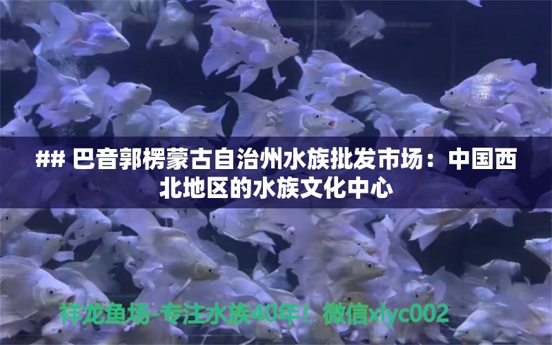 ## 巴音郭楞蒙古自治州水族批发市场：中国西北地区的水族文化中心