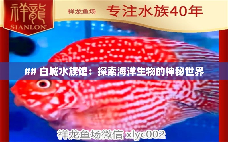 ## 白城水族馆：探索海洋生物的神秘世界 观赏鱼市场