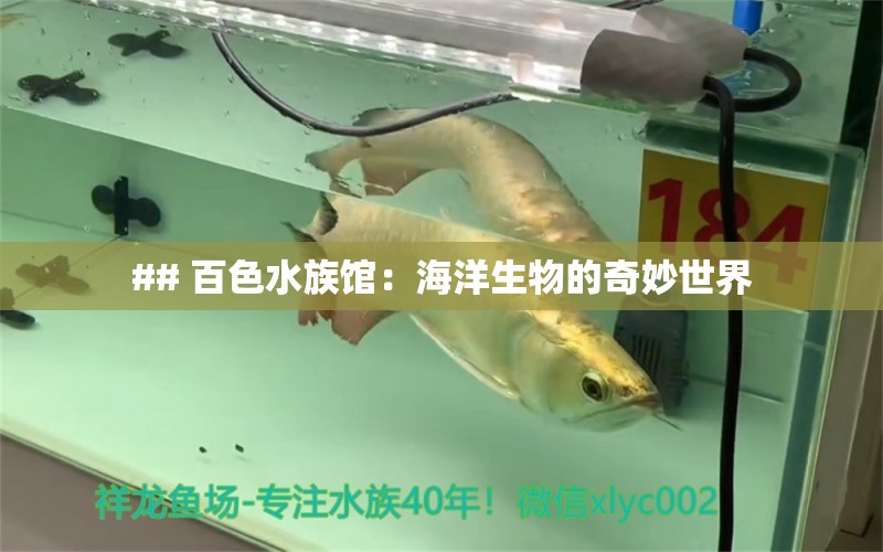 ## 百色水族馆：海洋生物的奇妙世界 观赏鱼市场