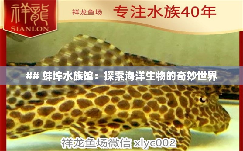 ## 蚌埠水族馆：探索海洋生物的奇妙世界