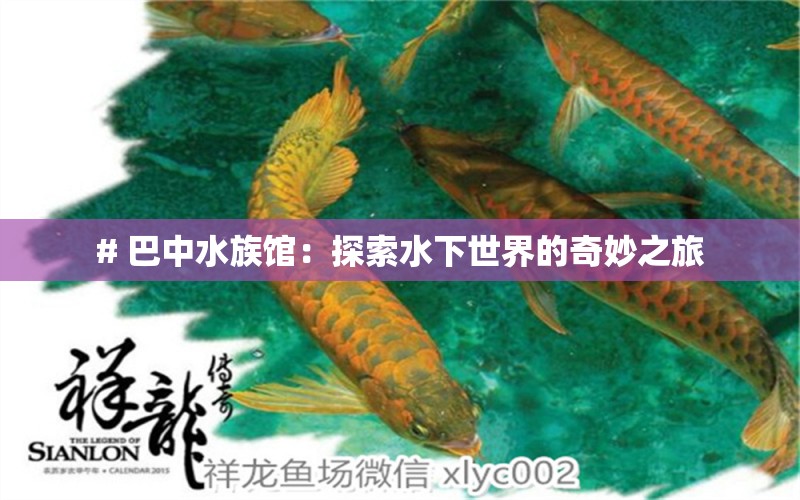 # 巴中水族馆：探索水下世界的奇妙之旅 观赏鱼市场