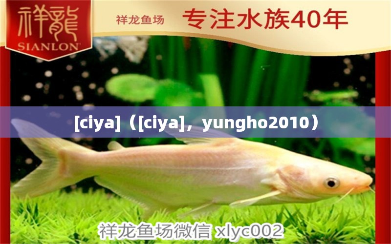 [ciya]（[ciya]，yungho2010） 观赏鱼论坛 第2张