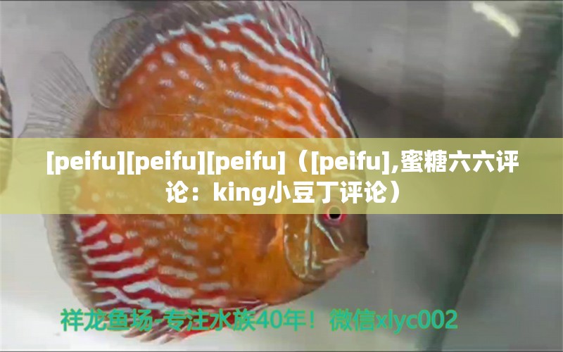 [peifu][peifu][peifu]（[peifu],蜜糖六六评论：king小豆丁评论） 观赏鱼论坛 第2张