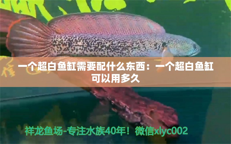 一个超白鱼缸需要配什么东西：一个超白鱼缸可以用多久