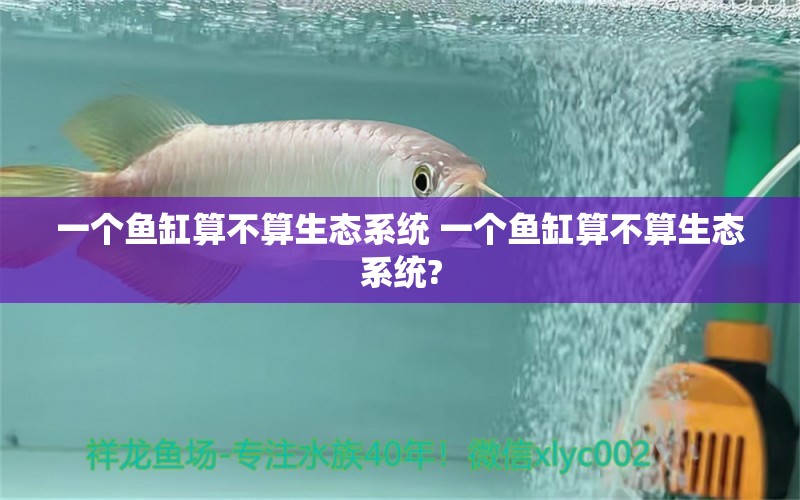 一个鱼缸算不算生态系统 一个鱼缸算不算生态系统?