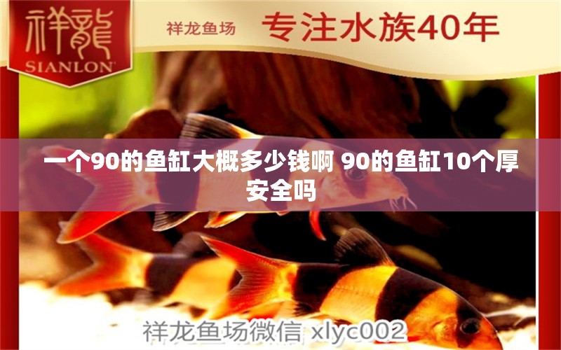 一个90的鱼缸大概多少钱啊 90的鱼缸10个厚安全吗