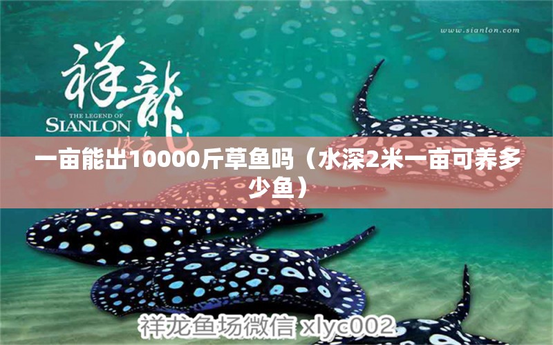 一亩能出10000斤草鱼吗（水深2米一亩可养多少鱼） 过滤设备 第1张