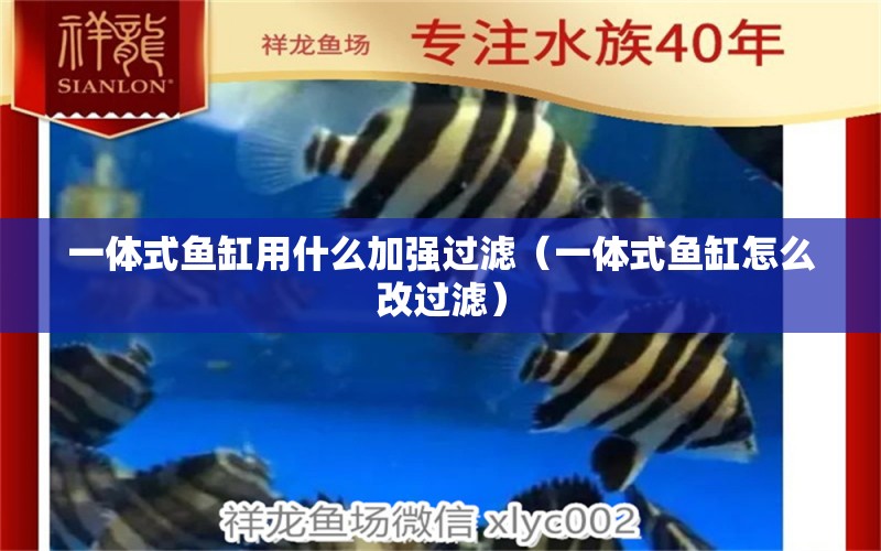 一体式鱼缸用什么加强过滤（一体式鱼缸怎么改过滤）