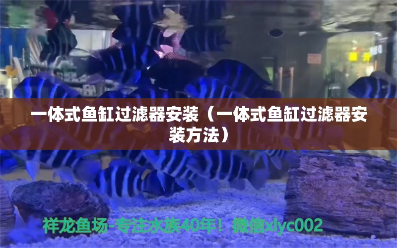 一体式鱼缸过滤器安装（一体式鱼缸过滤器安装方法） 广州龙鱼批发市场