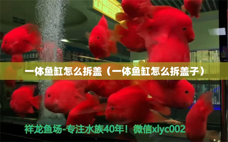 一体鱼缸怎么拆盖（一体鱼缸怎么拆盖子） 祥龙水族医院