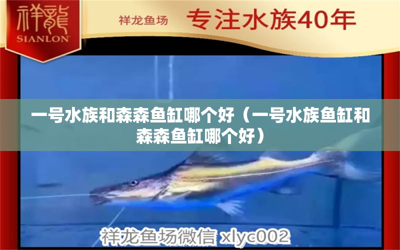 一号水族和森森鱼缸哪个好（一号水族鱼缸和森森鱼缸哪个好） 祥龙水族医院