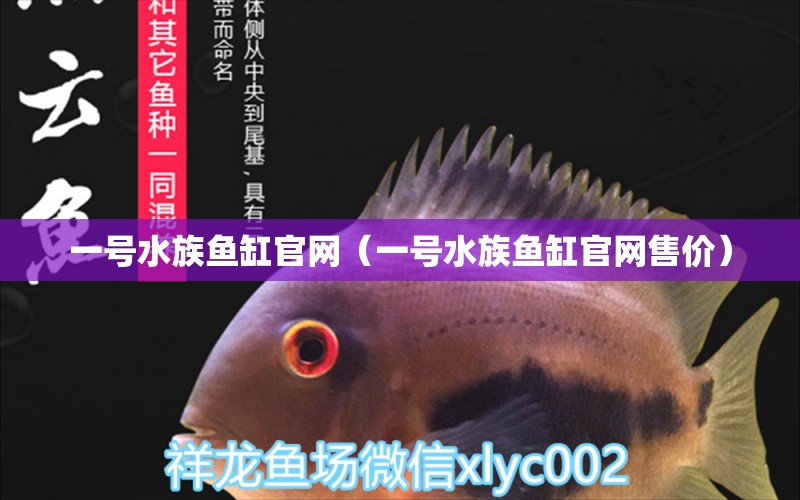 一号水族鱼缸官网（一号水族鱼缸官网售价） 祥龙水族医院