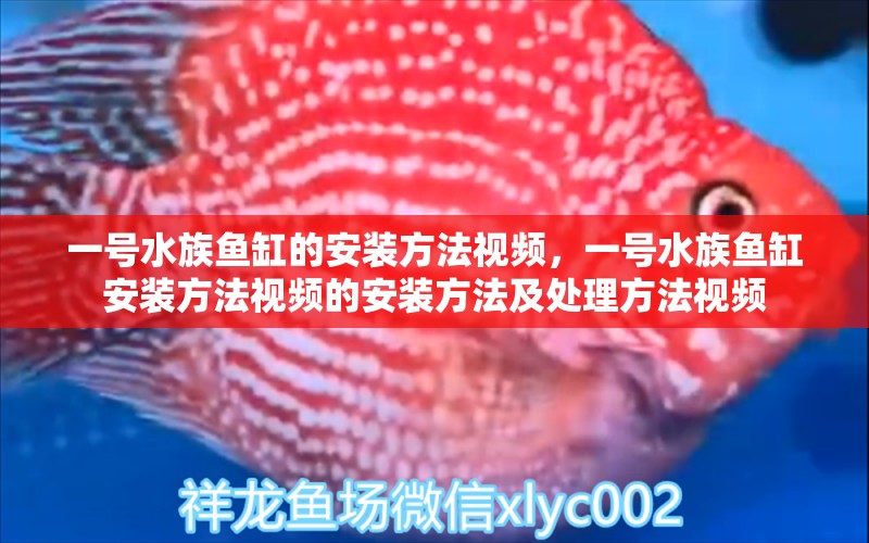 一号水族鱼缸的安装方法视频，一号水族鱼缸安装方法视频的安装方法及处理方法视频