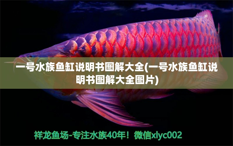 一号水族鱼缸说明书图解大全(一号水族鱼缸说明书图解大全图片) 电鳗 第1张