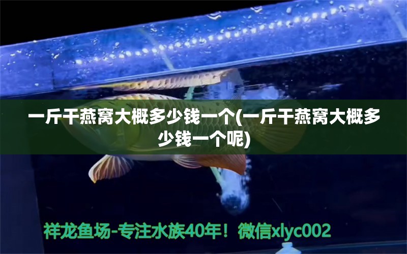 一斤干燕窝大概多少钱一个(一斤干燕窝大概多少钱一个呢) 马来西亚燕窝 第1张