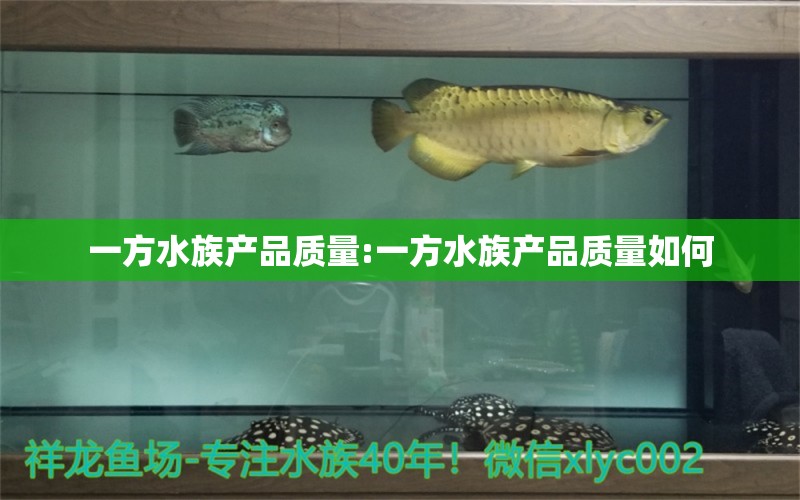 一方水族产品质量:一方水族产品质量如何