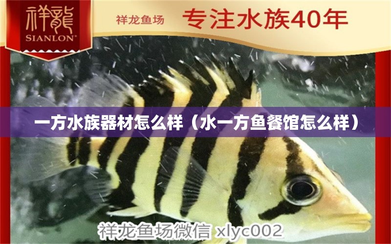 一方水族器材怎么样（水一方鱼餐馆怎么样）