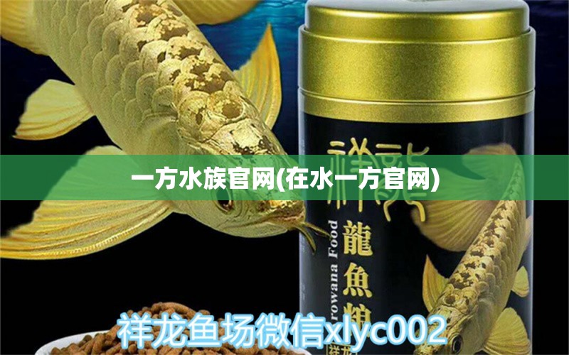 一方水族官网(在水一方官网)