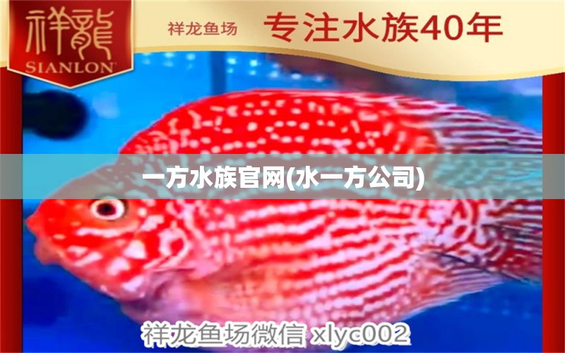 一方水族官网(水一方公司) 一方水族