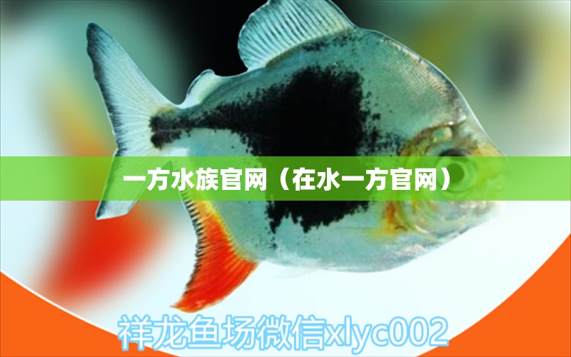 一方水族官网（在水一方官网）