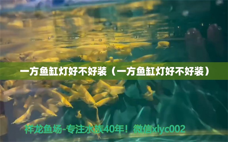 一方鱼缸灯好不好装（一方鱼缸灯好不好装） 黄金梦幻雷龙鱼