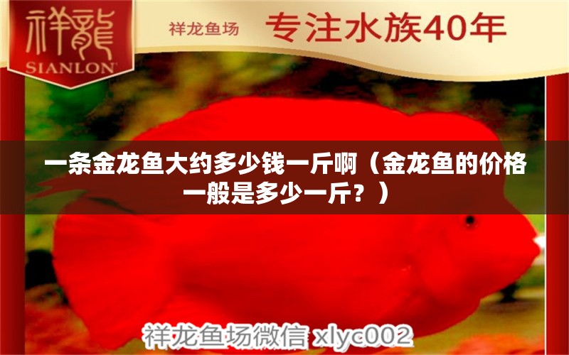 一条金龙鱼大约多少钱一斤啊（金龙鱼的价格一般是多少一斤？） 水族问答 第2张