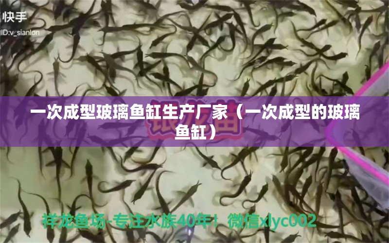 一次成型玻璃鱼缸生产厂家（一次成型的玻璃鱼缸）