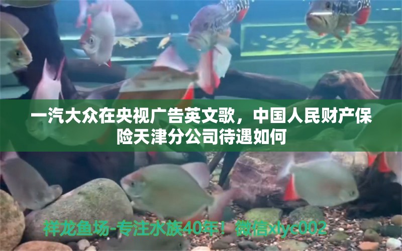 一汽大众在央视广告英文歌，中国人民财产保险天津分公司待遇如何