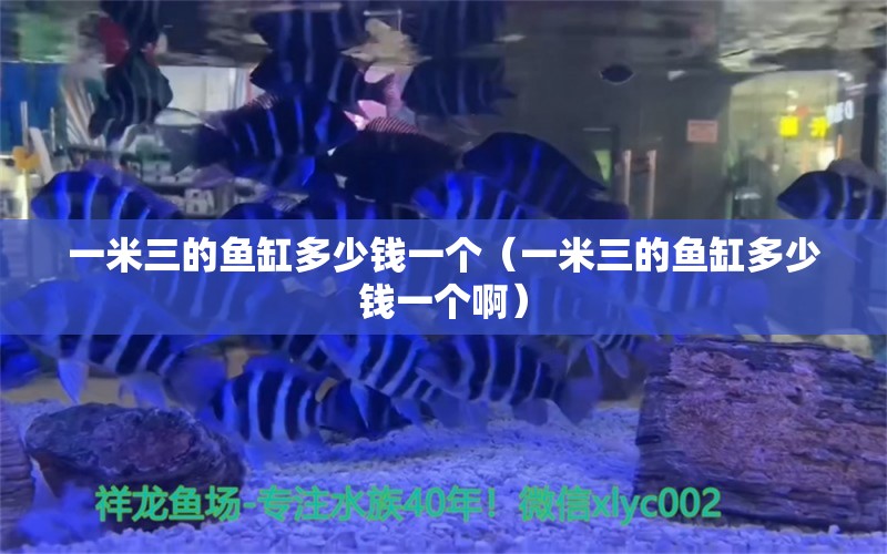 一米三的鱼缸多少钱一个（一米三的鱼缸多少钱一个啊） 其他品牌鱼缸