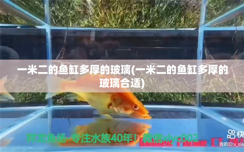 一米二的鱼缸多厚的玻璃(一米二的鱼缸多厚的玻璃合适)