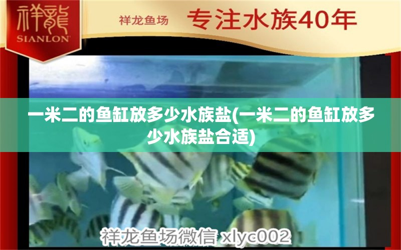 一米二的鱼缸放多少水族盐(一米二的鱼缸放多少水族盐合适) 南美异形观赏鱼 第1张