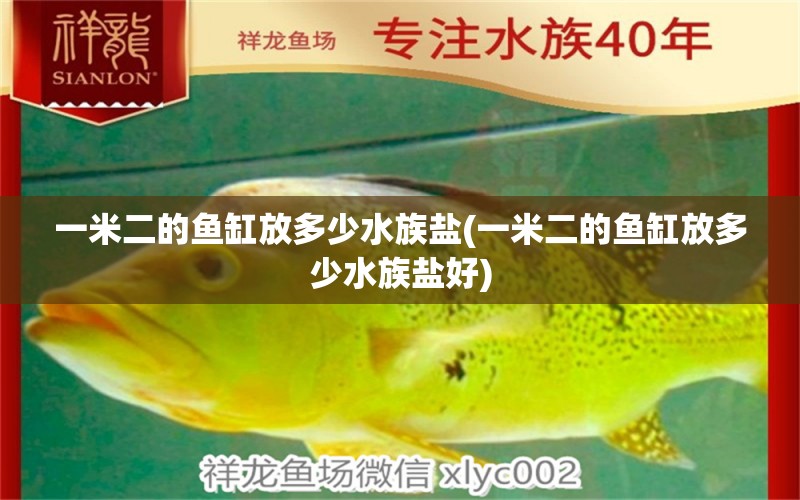 一米二的鱼缸放多少水族盐(一米二的鱼缸放多少水族盐好)