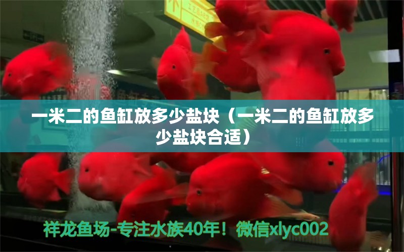 一米二的鱼缸放多少盐块（一米二的鱼缸放多少盐块合适） 其他品牌鱼缸