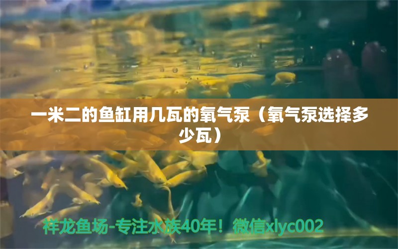 一米二的鱼缸用几瓦的氧气泵（氧气泵选择多少瓦）