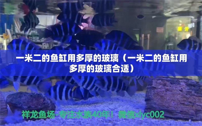 一米二的鱼缸用多厚的玻璃（一米二的鱼缸用多厚的玻璃合适） 祥龙水族医院