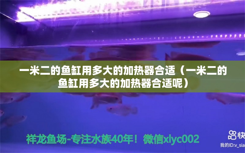 一米二的鱼缸用多大的加热器合适（一米二的鱼缸用多大的加热器合适呢） 鱼缸百科