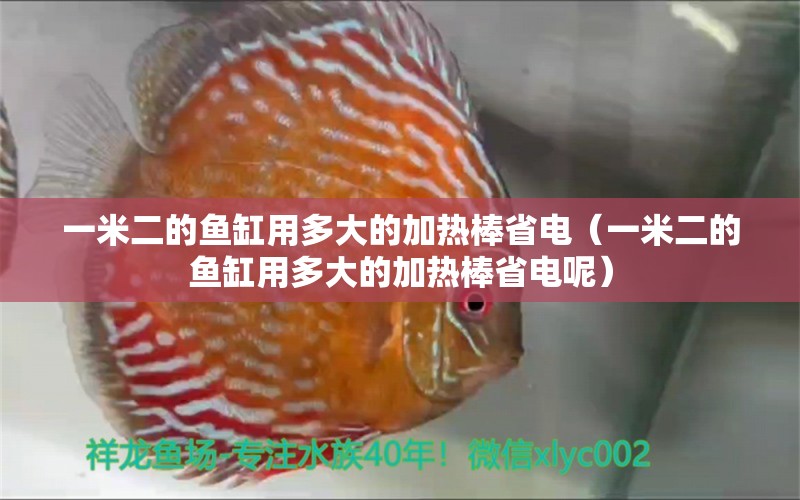 一米二的鱼缸用多大的加热棒省电（一米二的鱼缸用多大的加热棒省电呢） 鱼缸百科