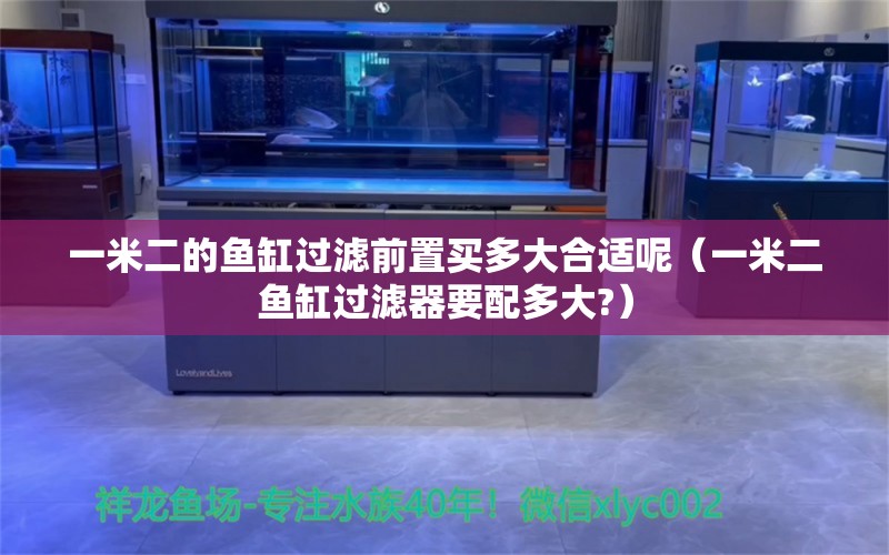 一米二的鱼缸过滤前置买多大合适呢（一米二鱼缸过滤器要配多大?） 鱼缸百科