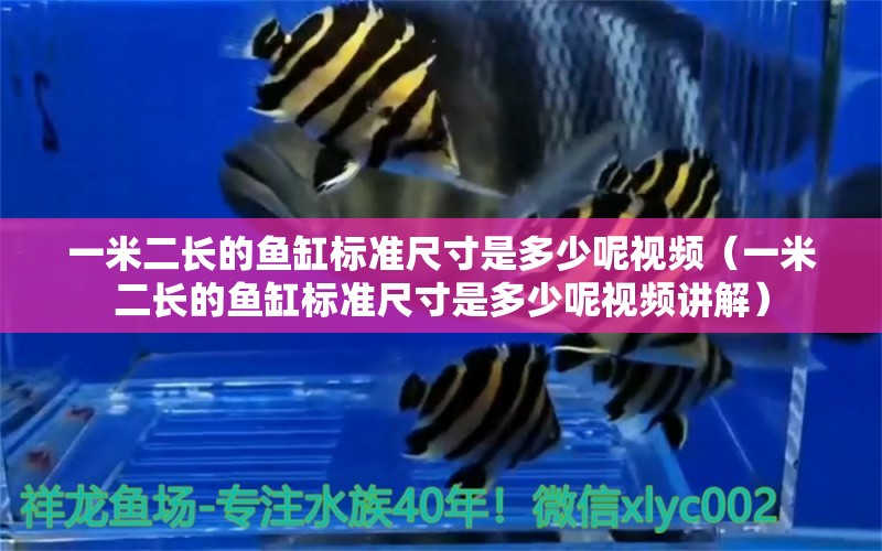 一米二长的鱼缸标准尺寸是多少呢视频（一米二长的鱼缸标准尺寸是多少呢视频讲解） 其他品牌鱼缸
