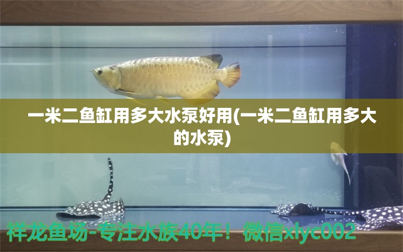 一米二鱼缸用多大水泵好用(一米二鱼缸用多大的水泵)