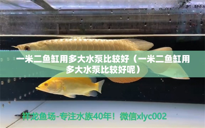 一米二鱼缸用多大水泵比较好（一米二鱼缸用多大水泵比较好呢） 其他品牌鱼缸