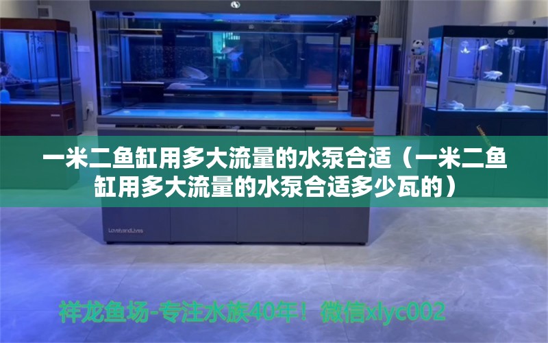 一米二鱼缸用多大流量的水泵合适（一米二鱼缸用多大流量的水泵合适多少瓦的） 鱼缸百科