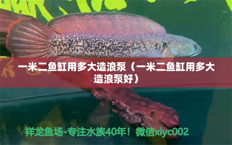 一米二鱼缸用多大造浪泵（一米二鱼缸用多大造浪泵好）