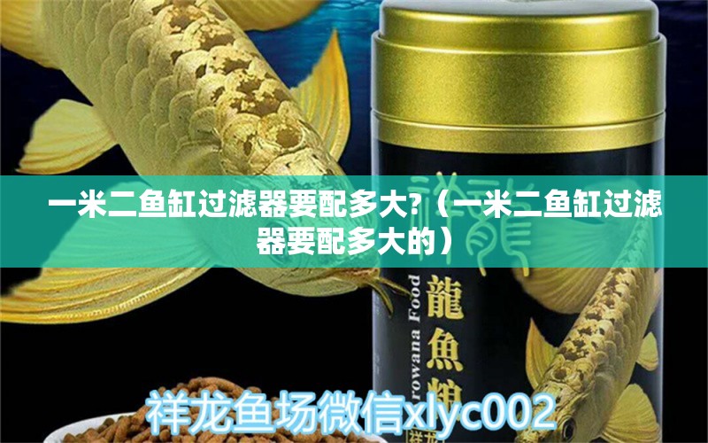 一米二鱼缸过滤器要配多大?（一米二鱼缸过滤器要配多大的）