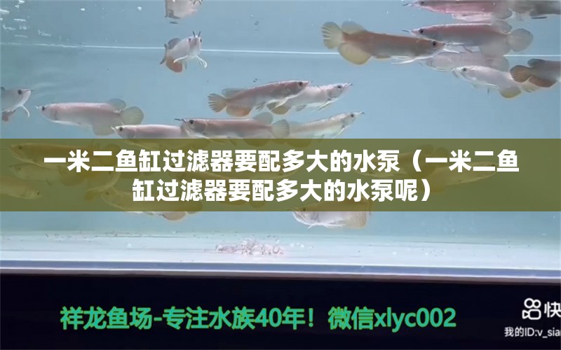 一米二鱼缸过滤器要配多大的水泵（一米二鱼缸过滤器要配多大的水泵呢）