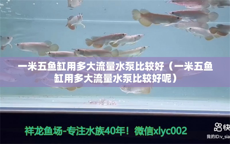 一米五鱼缸用多大流量水泵比较好（一米五鱼缸用多大流量水泵比较好呢）