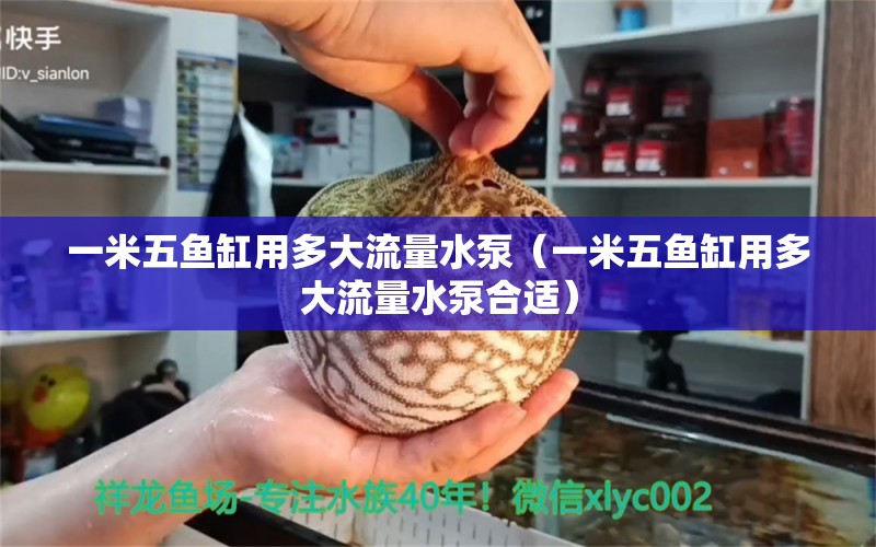 一米五鱼缸用多大流量水泵（一米五鱼缸用多大流量水泵合适） 鱼缸百科