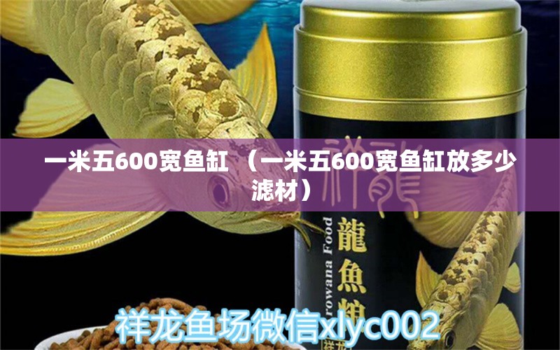 一米五600宽鱼缸 （一米五600宽鱼缸放多少滤材）