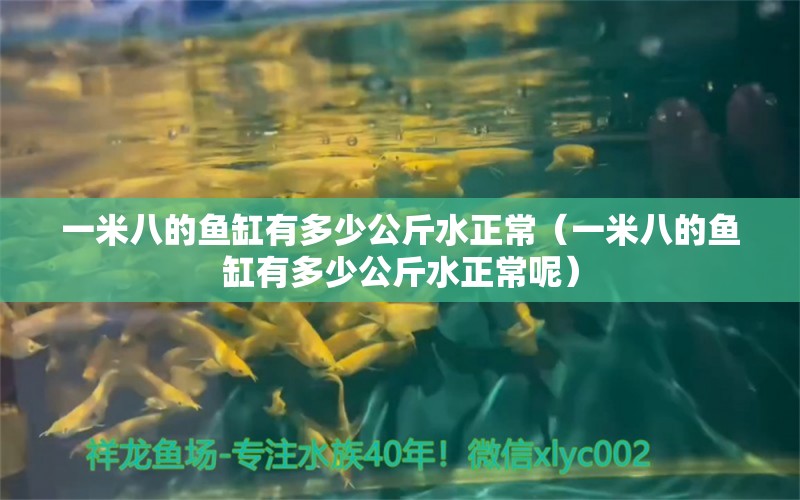 一米八的鱼缸有多少公斤水正常（一米八的鱼缸有多少公斤水正常呢） 鱼缸百科