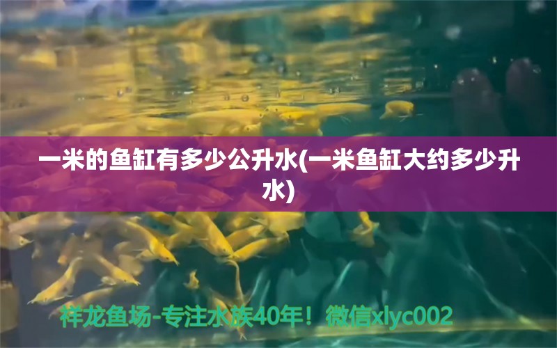 一米的鱼缸有多少公升水(一米鱼缸大约多少升水) 斑马鸭嘴鱼 第1张